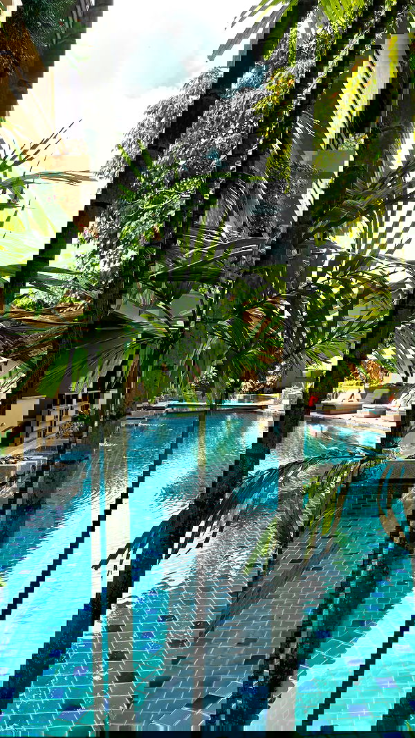 noammalka___ noammalka___ archive image