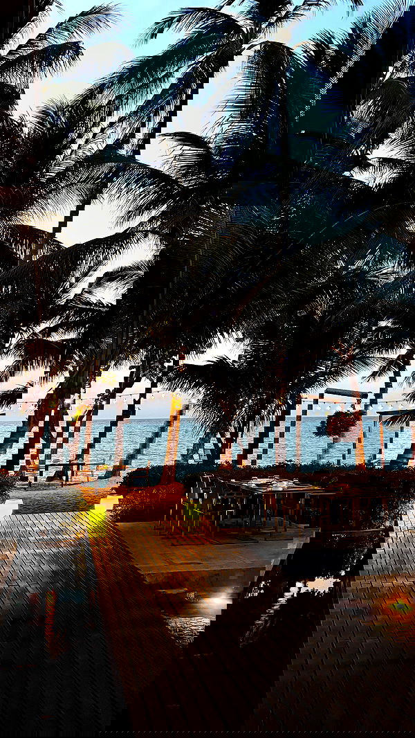 noammalka___ noammalka___ archive image