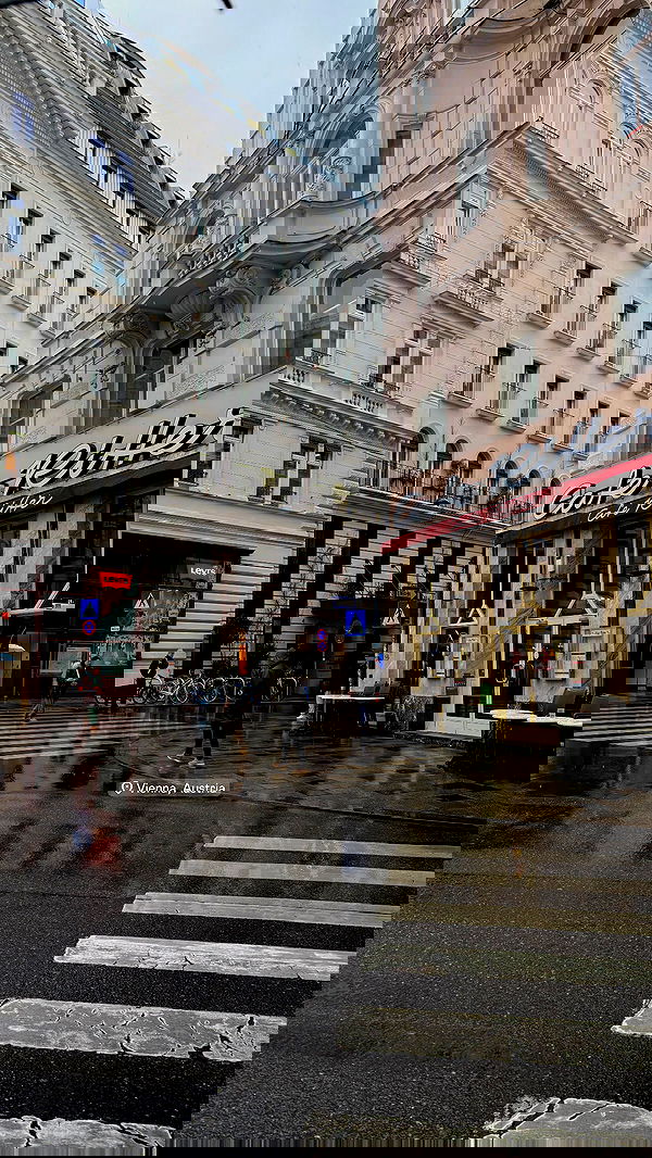 noammalka___ noammalka___ archive image