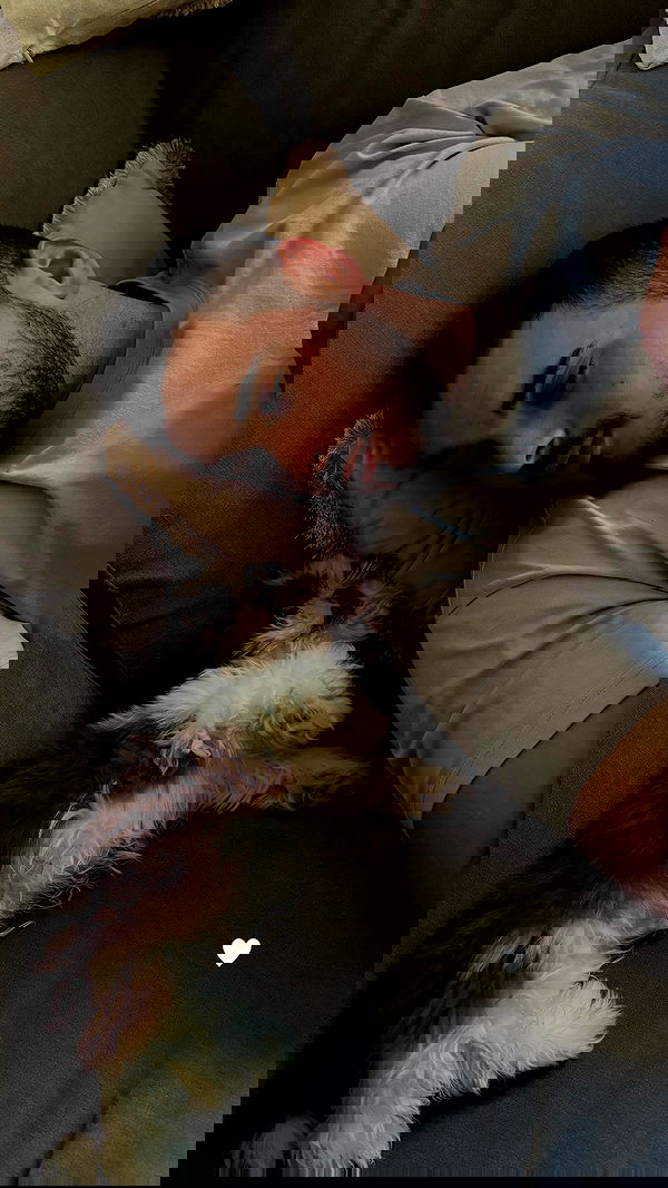 noammalka___ noammalka___ archive image