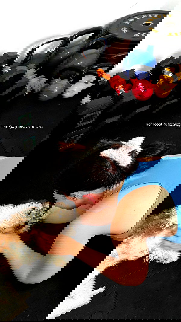 noammalka___ noammalka___ archive image