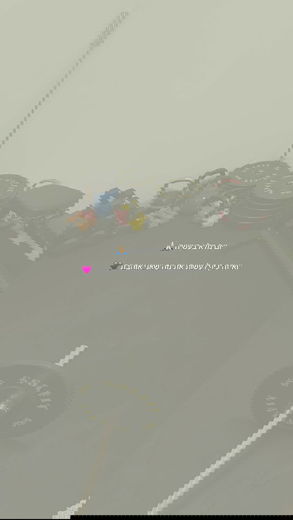 noammalka___ noammalka___ archive image