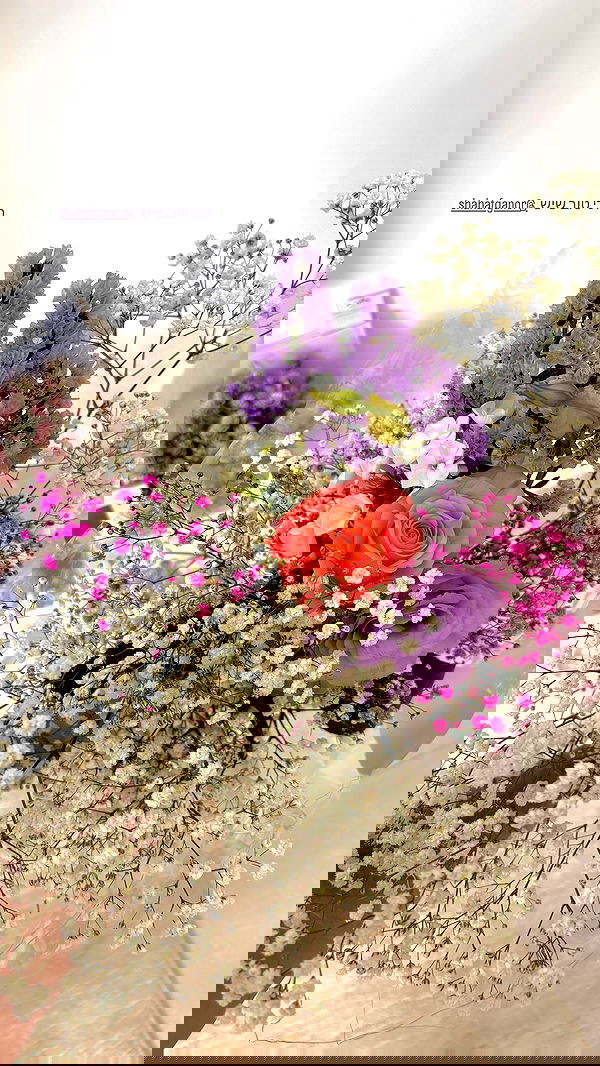 noammalka___ noammalka___ archive image