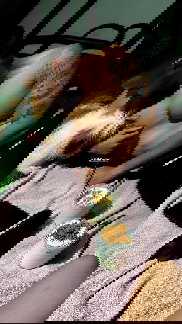 noammalka___ noammalka___ archive image