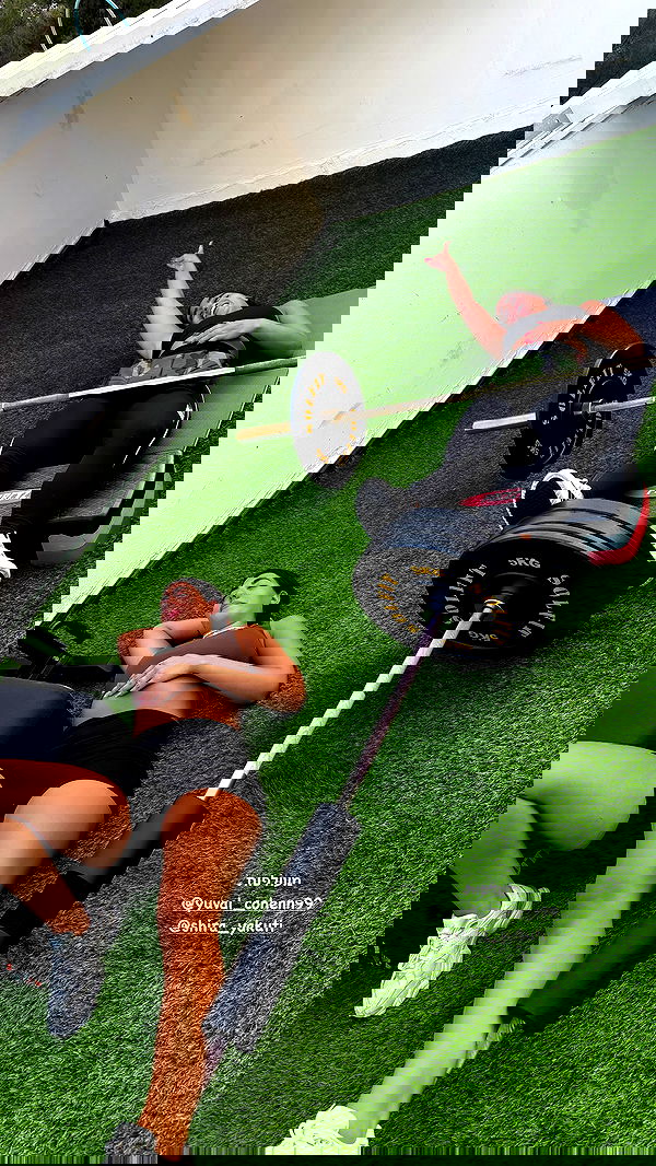 noammalka___ noammalka___ archive image