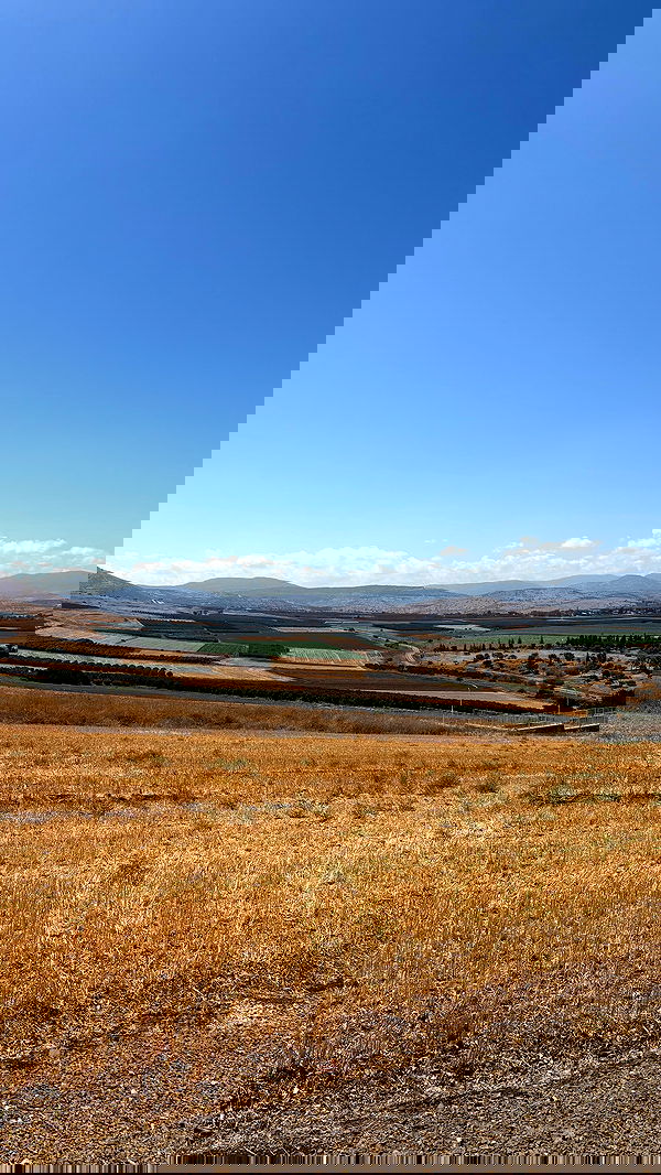 noammalka___ noammalka___ archive image