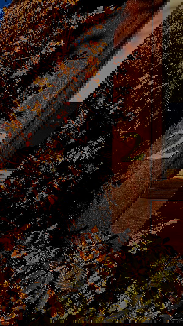 noammalka___ noammalka___ archive image