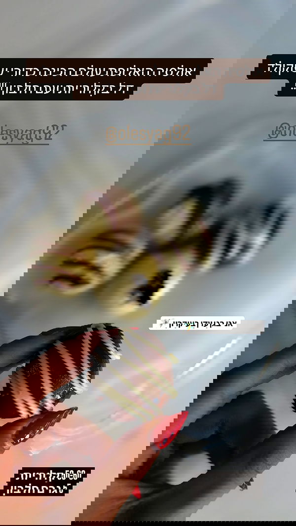 noammalka___ noammalka___ archive image