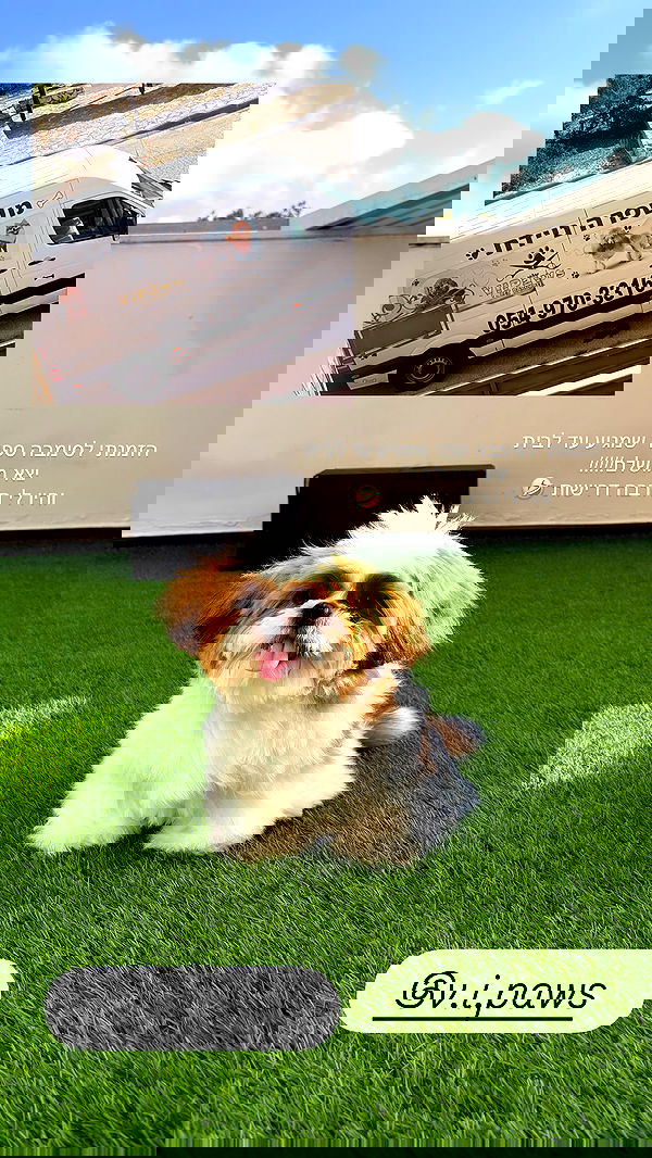 noammalka___ noammalka___ archive image