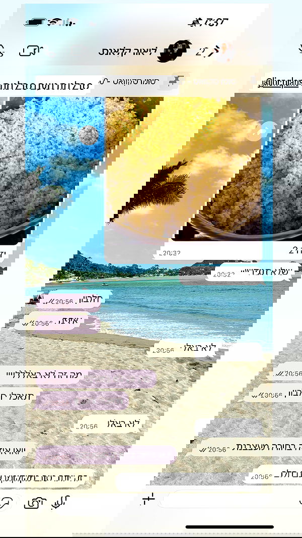 noammalka___ noammalka___ archive image