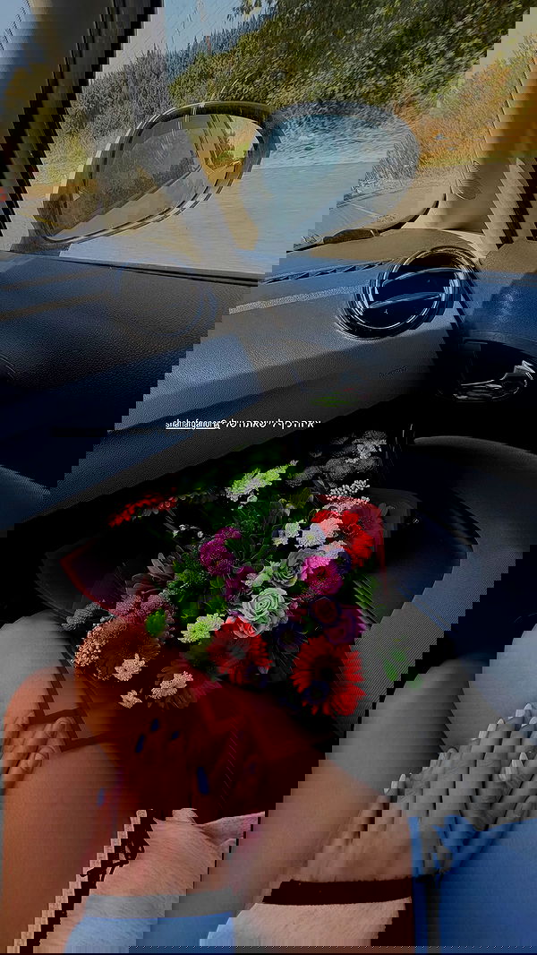 noammalka___ noammalka___ archive image