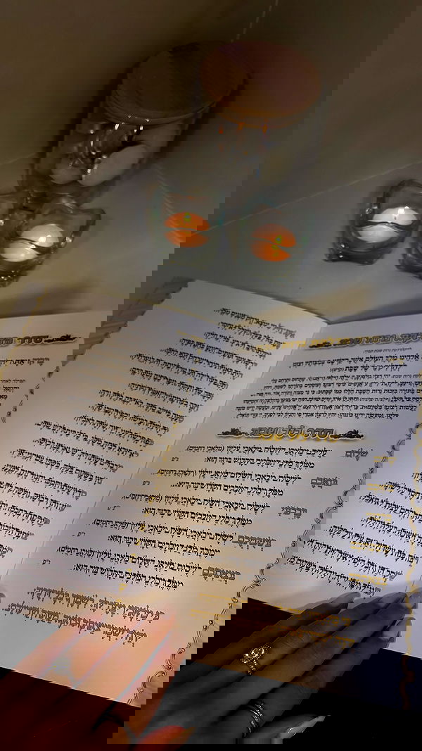 noammalka___ noammalka___ archive image