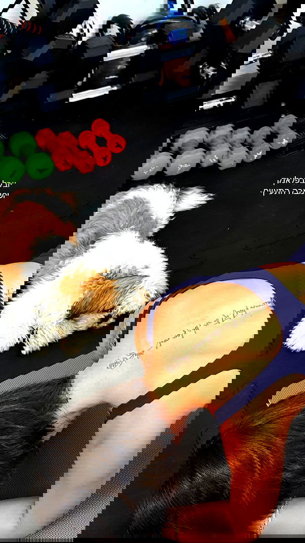 noammalka___ noammalka___ archive image