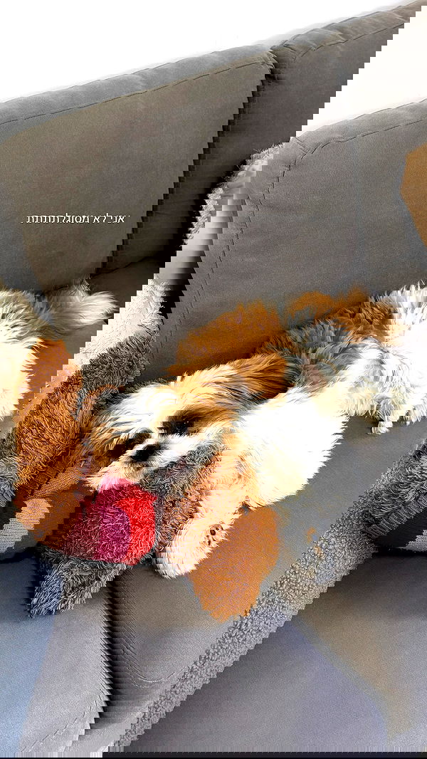 noammalka___ noammalka___ archive image