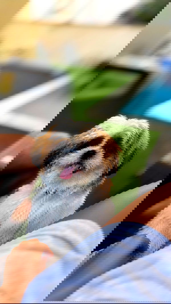 noammalka___ noammalka___ archive image