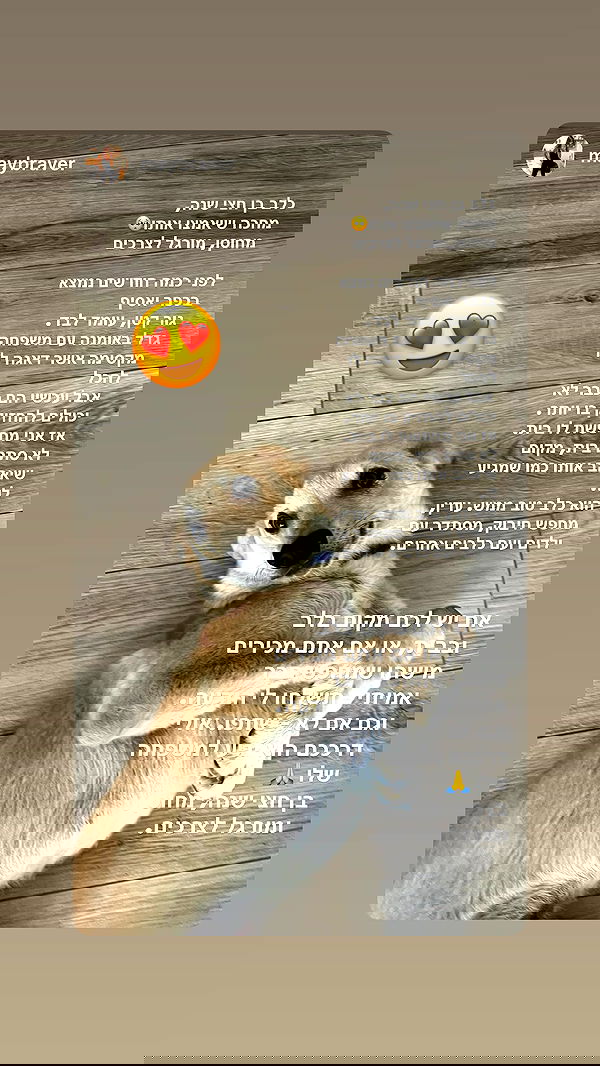 noammalka___ noammalka___ archive image