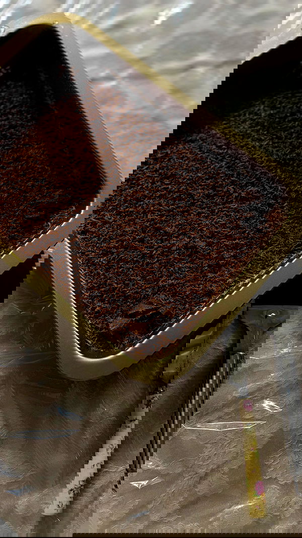 noammalka___ noammalka___ archive image