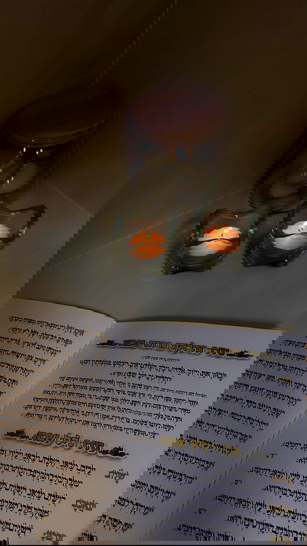 noammalka___ noammalka___ archive image