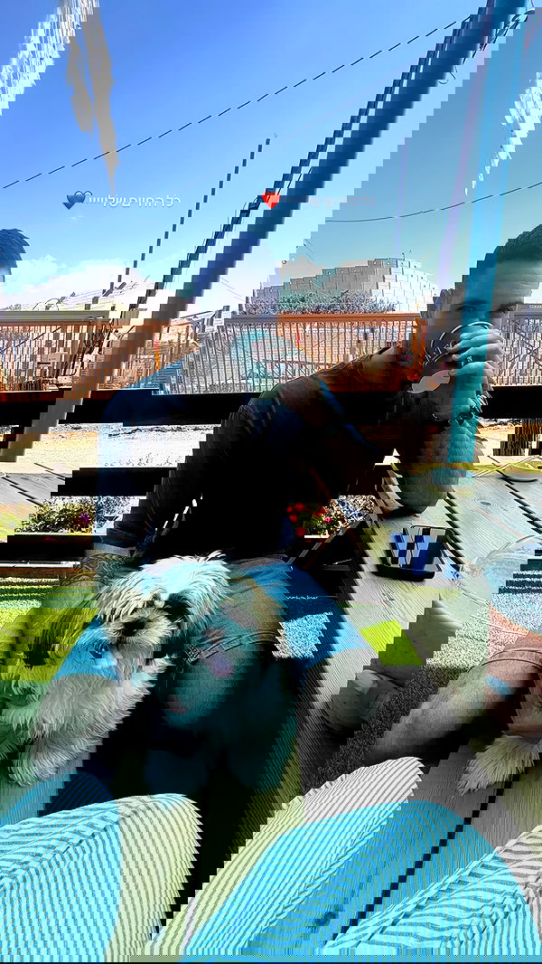 noammalka___ noammalka___ archive image