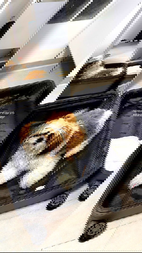 noammalka___ noammalka___ archive image