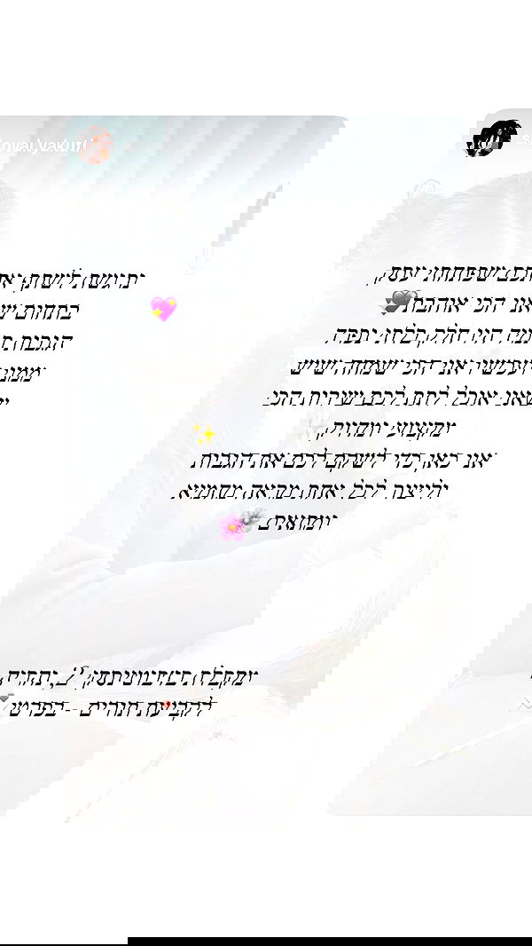 noammalka___ noammalka___ archive image