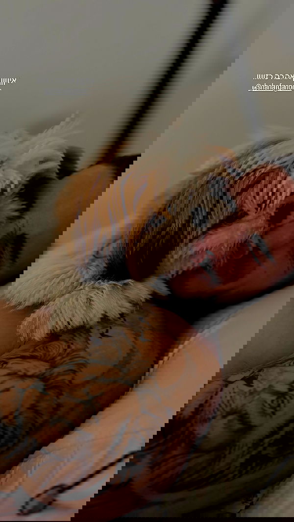 noammalka___ noammalka___ archive image