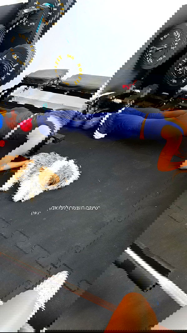 noammalka___ noammalka___ archive image