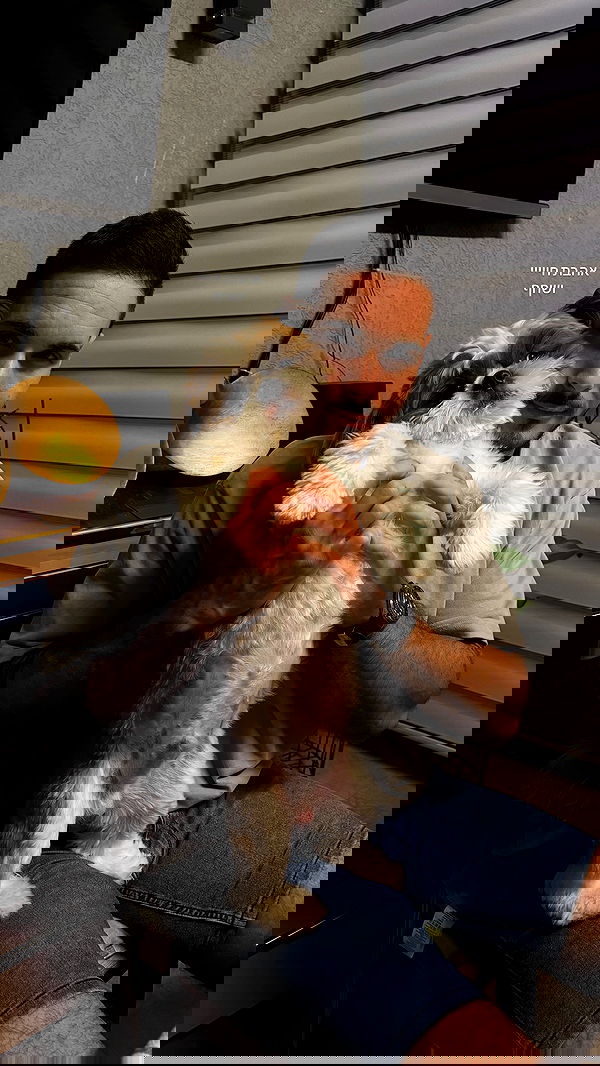 noammalka___ noammalka___ archive image