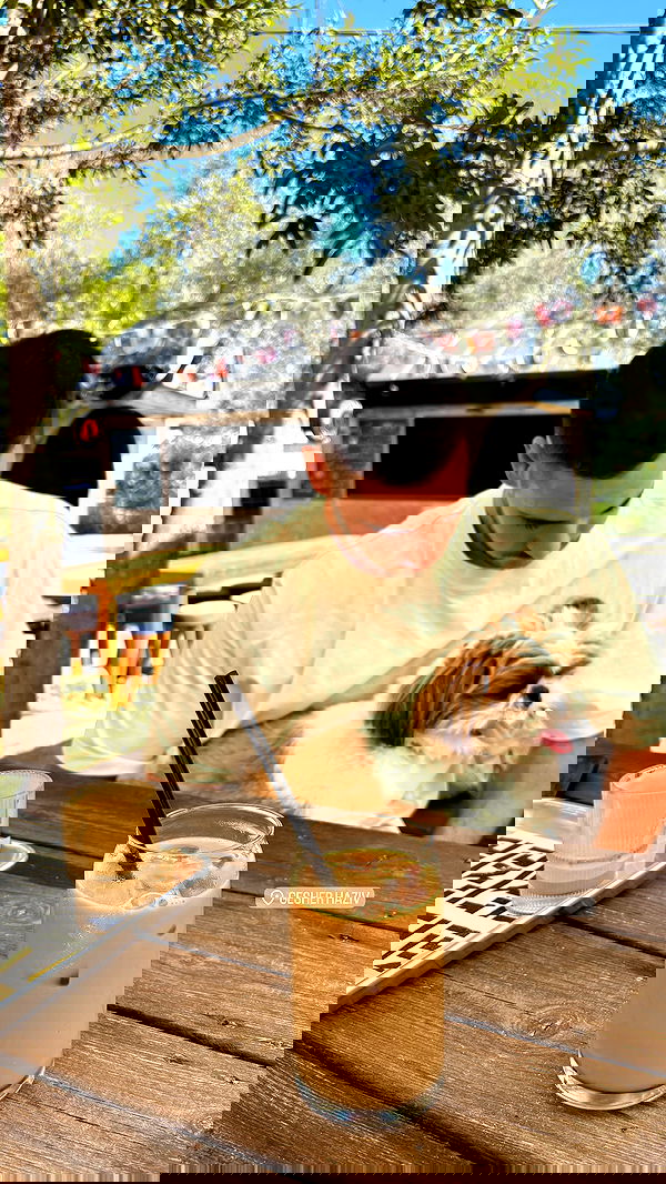 noammalka___ noammalka___ archive image