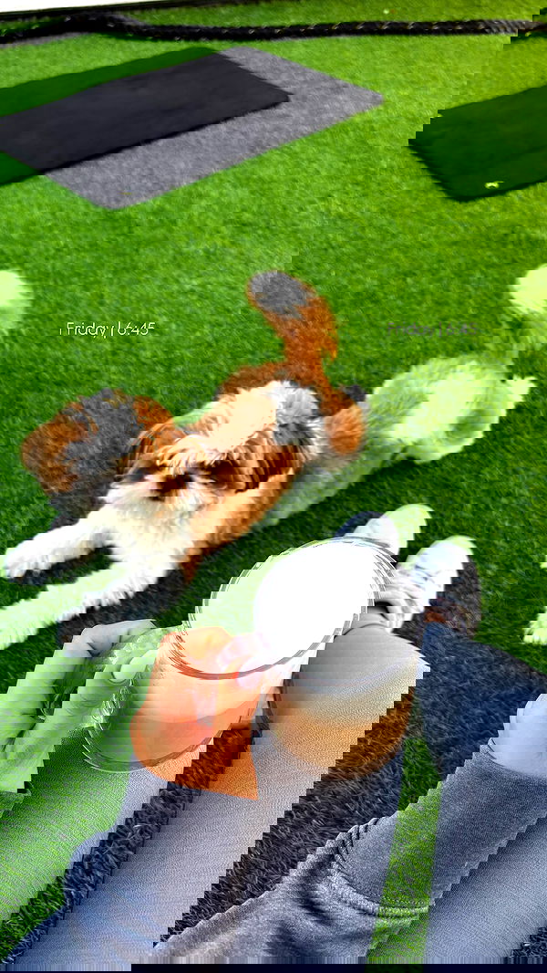 noammalka___ noammalka___ archive image