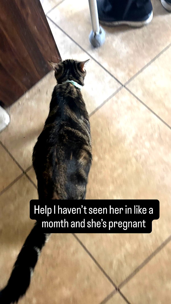 noast4rzz instagram image archive image