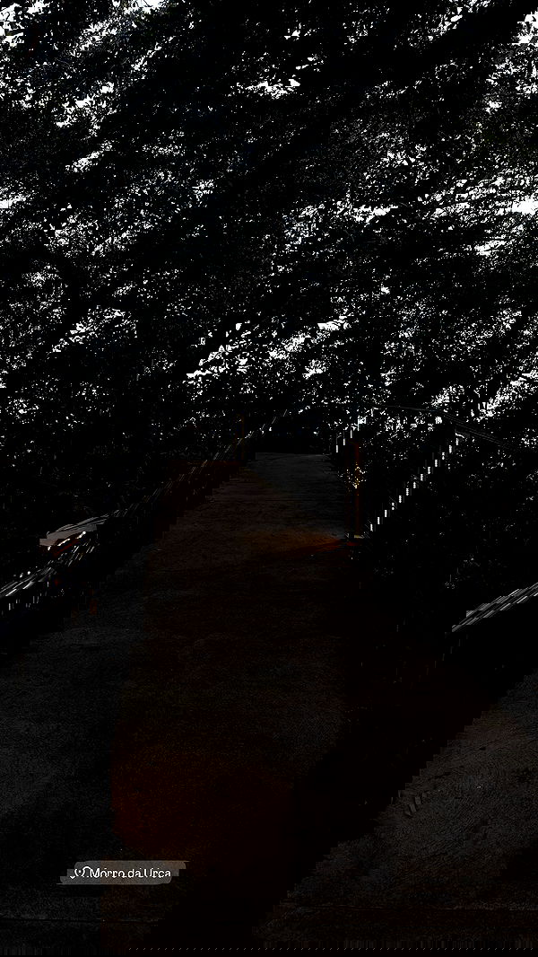 noeemiimii noeemiimii archive image