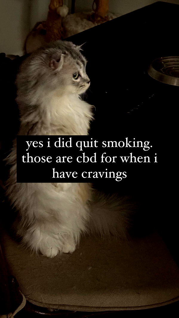 nonsalemwitch instagram image archive image