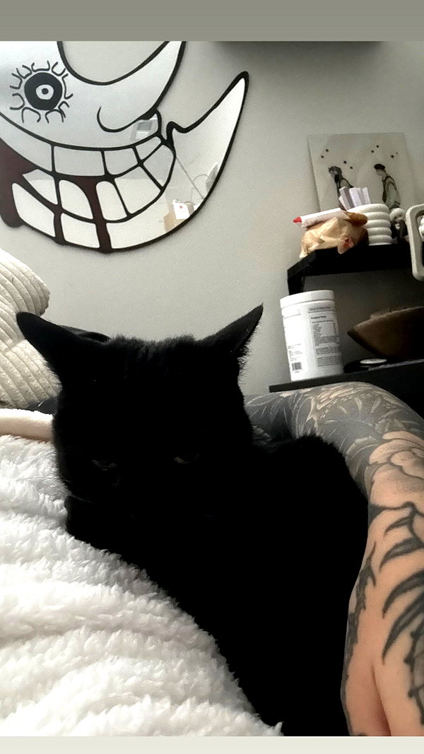 nonsalemwitch instagram image archive image