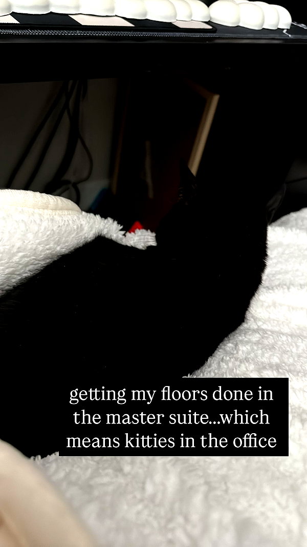 nonsalemwitch instagram image archive image