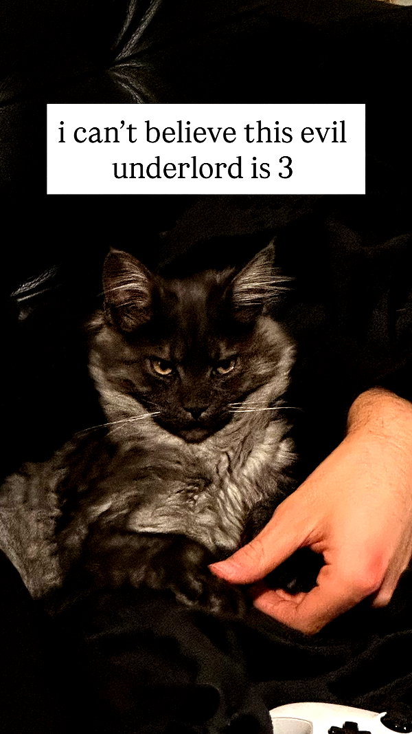 nonsalemwitch instagram image archive image