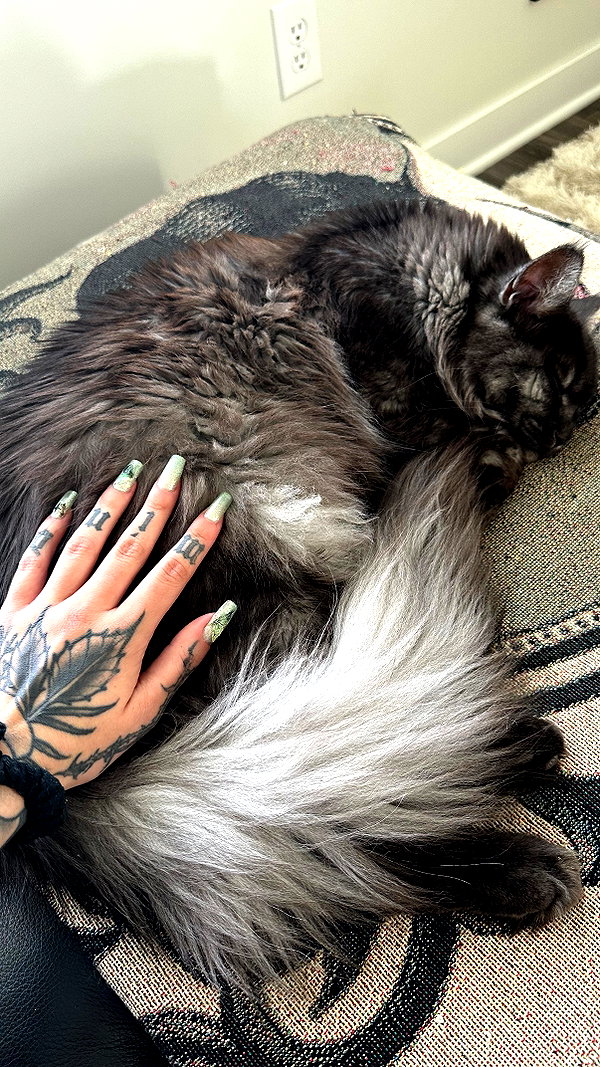 nonsalemwitch instagram image archive image