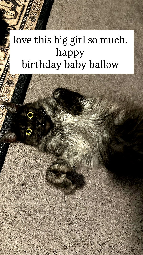 nonsalemwitch instagram image archive image
