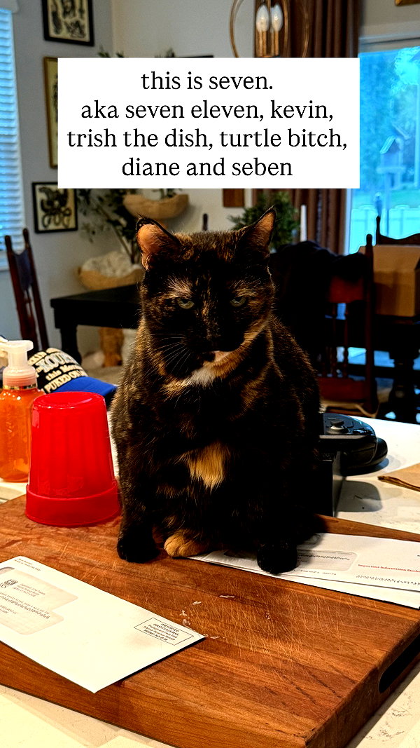 nonsalemwitch instagram image archive image