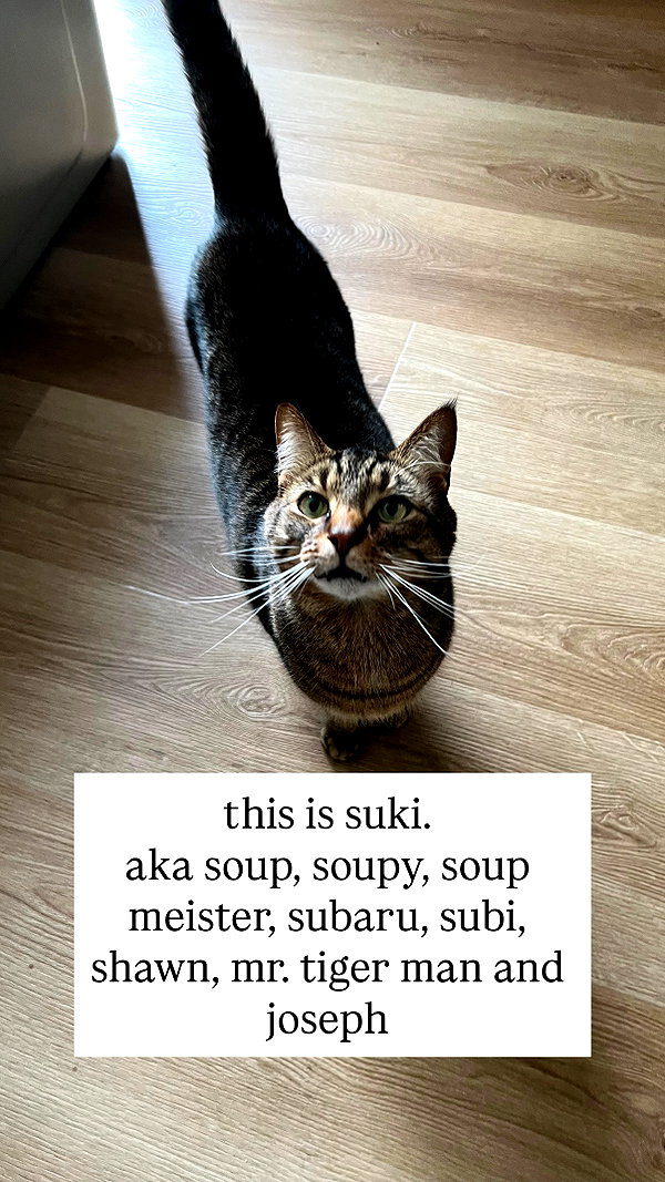 nonsalemwitch instagram image archive image