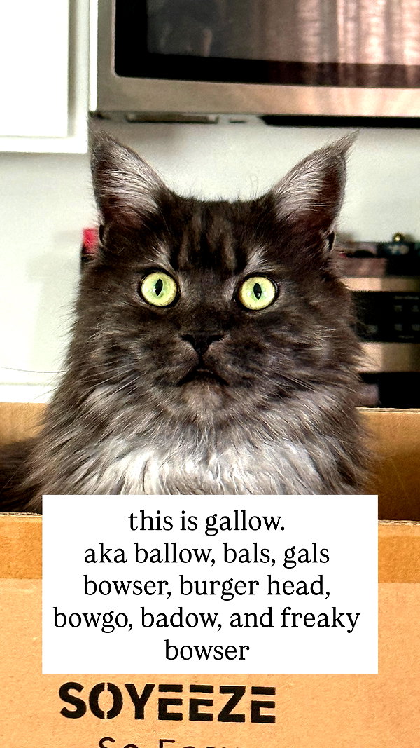 nonsalemwitch instagram image archive image