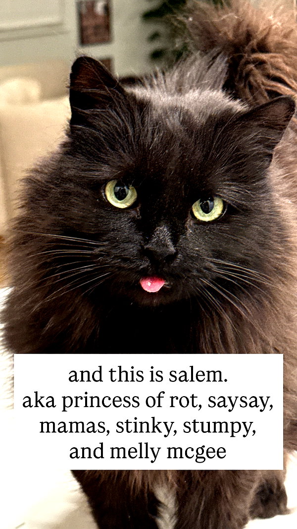 nonsalemwitch instagram image archive image