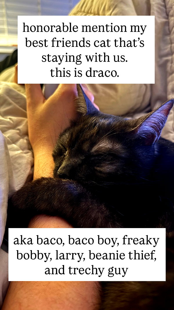 nonsalemwitch instagram image archive image