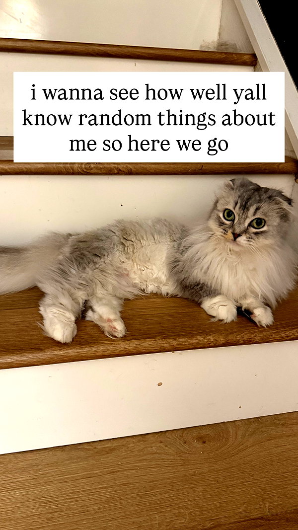nonsalemwitch instagram image archive image
