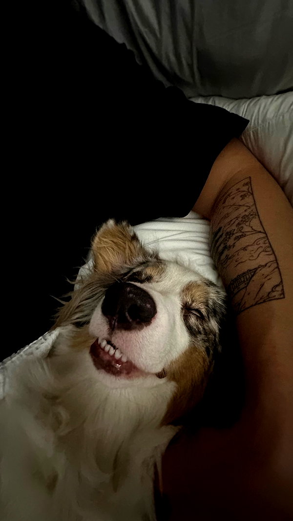 nonsalemwitch instagram image archive image
