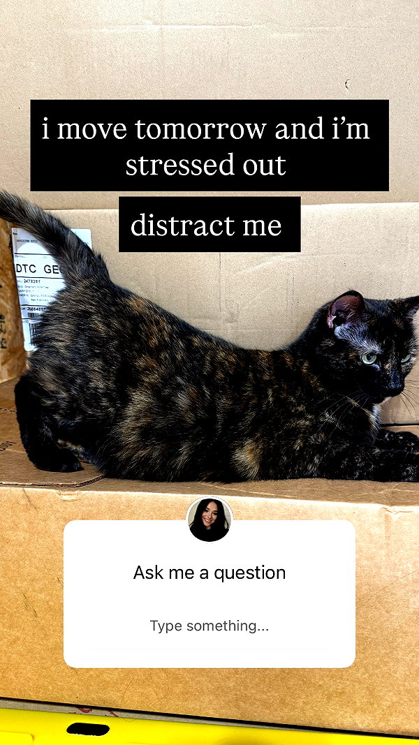 nonsalemwitch instagram image archive image