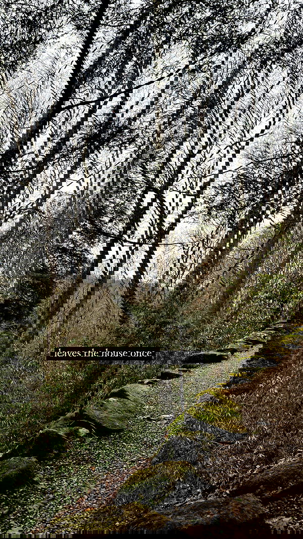 norafawn norafawn archive image