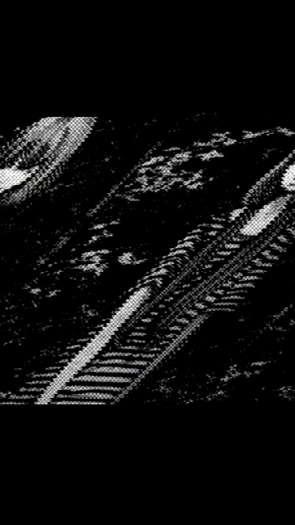 norafawn norafawn archive image