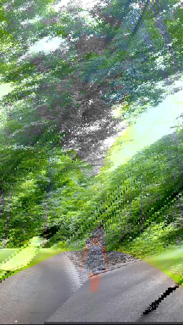 norafawn norafawn archive image