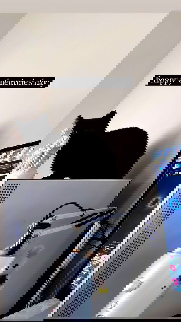 norafawn norafawn archive image